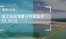 湛江徐闻最新爆料,揭秘神秘事件背后的真相