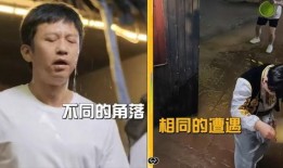 杨爸爆料的视频说的啥啊,内容概览与亮点抢先看